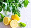 Basil Lemon 